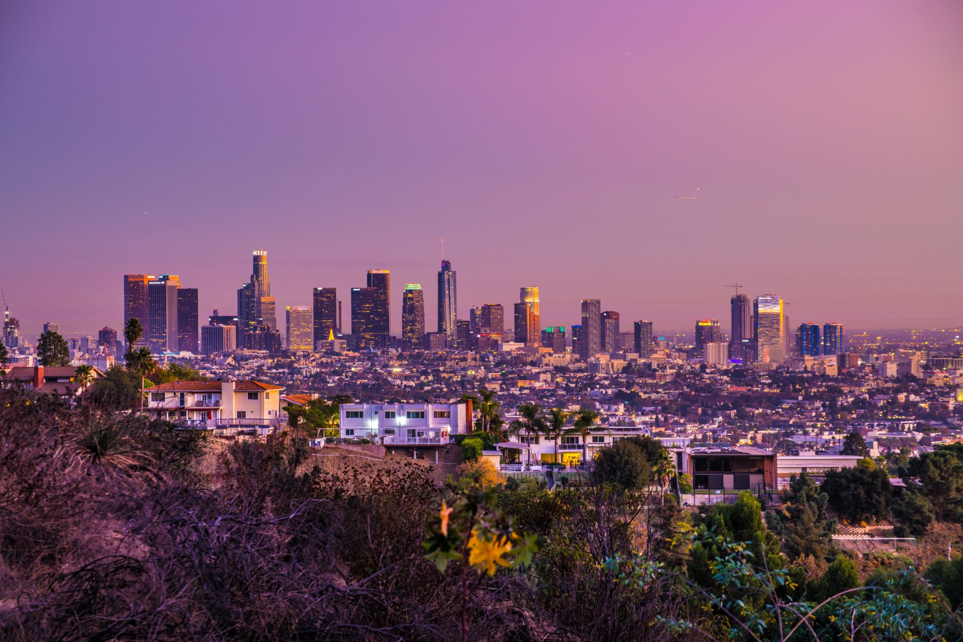 Find Hollywood Hills Homes for Sale | Nili Hudson, Realtor